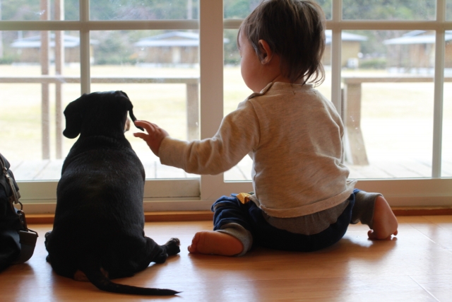 犬と人間の関係性は？子どもがいる家庭で飼っても大丈夫？