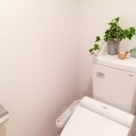 トイレに置く観葉植物を100均で買うにはどれを選べばいい？