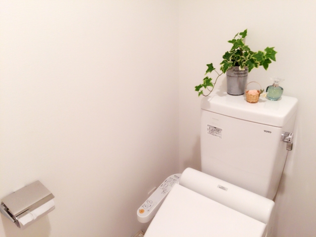 窓のないトイレで上手に観葉植物を育てる方法と対処法！